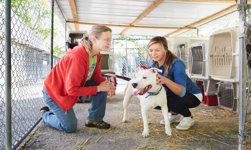 A person standing next to a dog