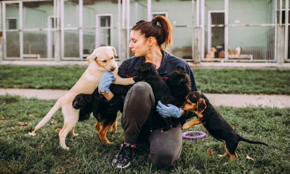 A person holding a dog