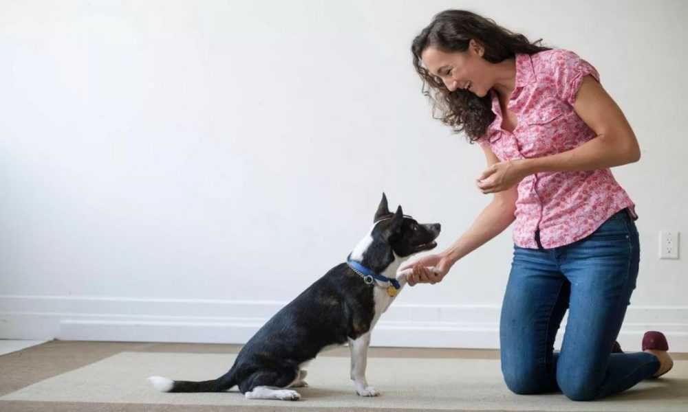 A woman standing next to a dog