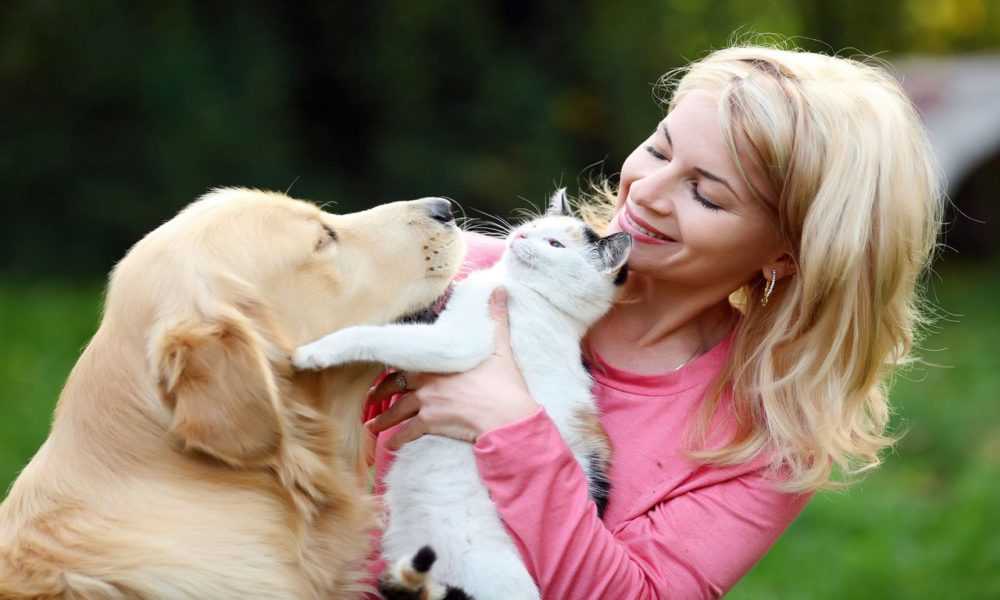 A person holding a dog