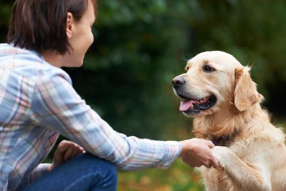 A man holding a dog