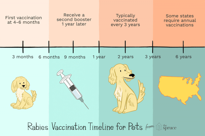 Pet Rabies Shots and How Long They Last