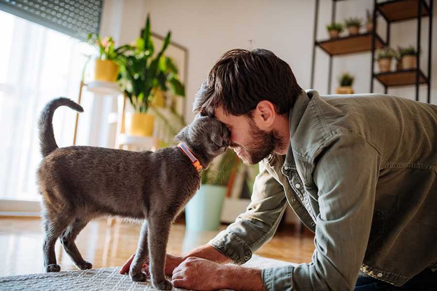 Beginner’s Guide for Using Pet Insurance
